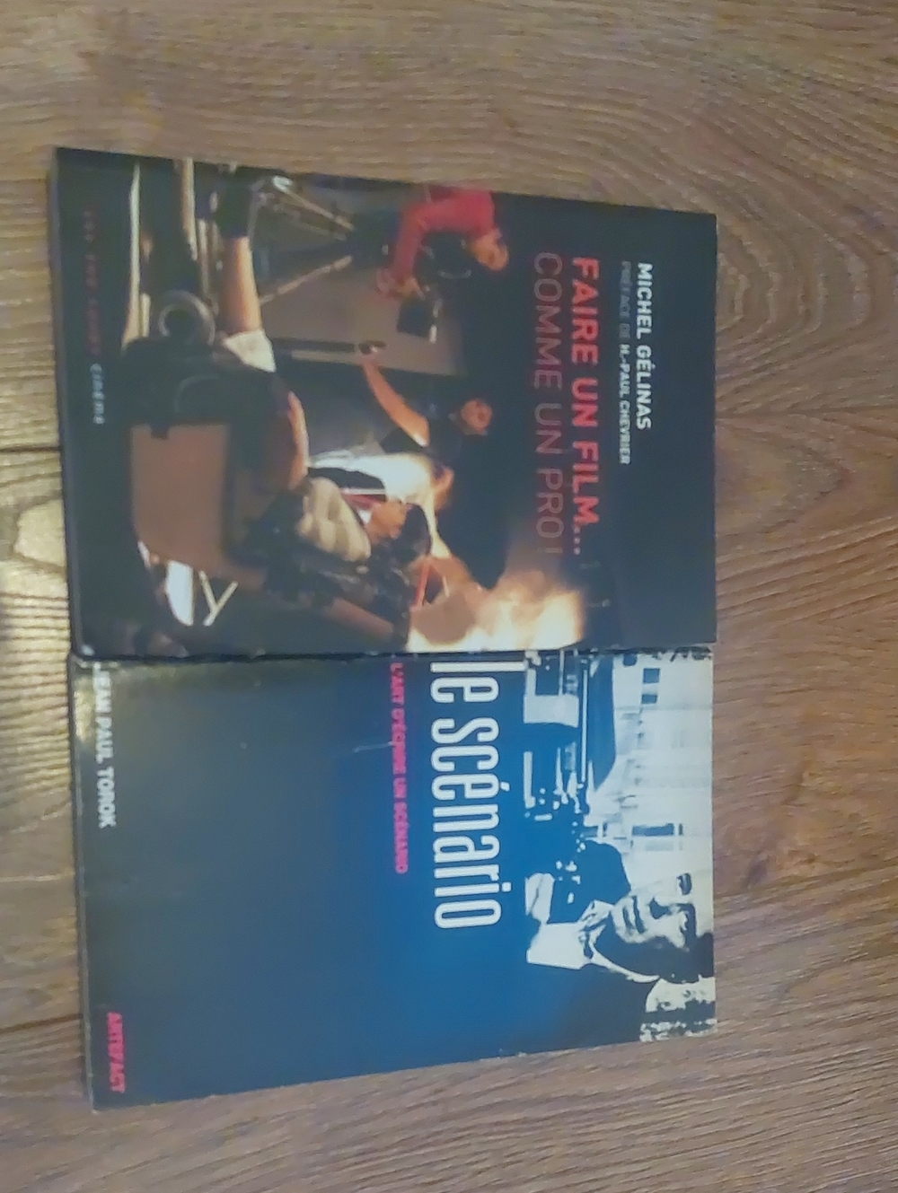 Lot De 2 Livres Sur Le Cinema Et Le Scenario